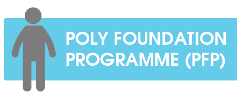 poly foundation programme